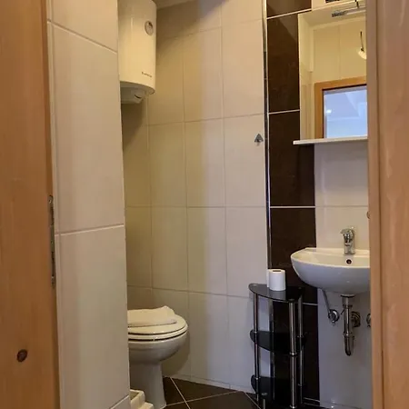住宿加早餐酒店 Doubleroom With Extrabed And Bathroom , Ac - 107